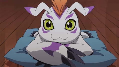 Download Cute And Playful Gomamon From Digimon Adventure Wallpaper