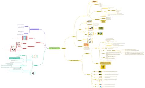 Perkembangan Dan Pertumbuhan Coggle Diagram