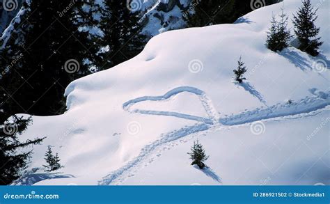 Snow Fall Winter Wonderland In Forest Landscape Scenery Stock Footage