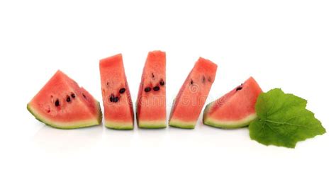 Watermelon Wedges Stock Photo Image Of Water Leaf Juicy 23777528