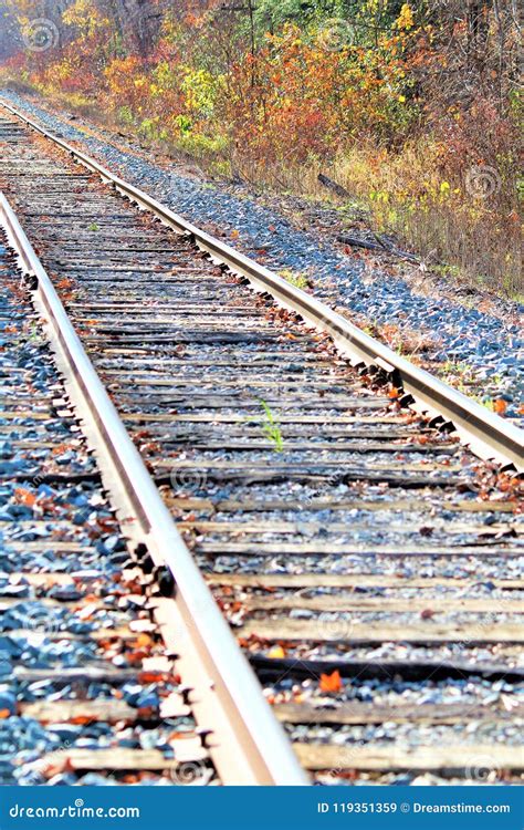 Autumn Railway Tracks Stock Image Image Of Nest Close 119351359