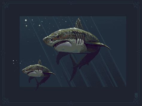 Shark Pixel Art By Pako On Dribbble