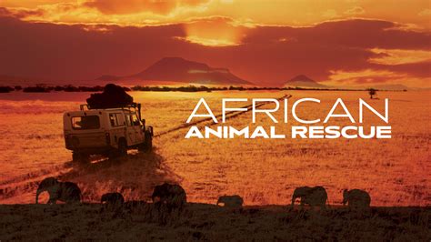Curiosity Stream African Animal Rescue