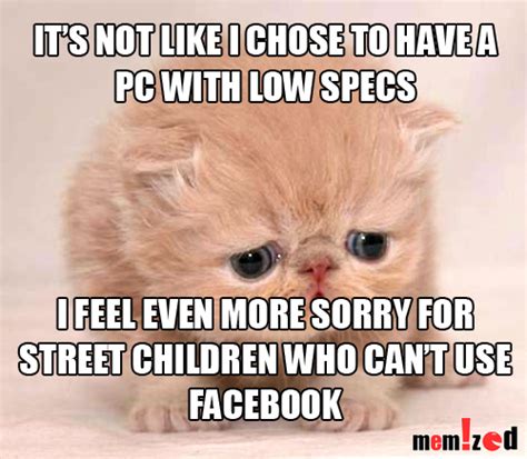 Cat Meme Sad And Funny Cute Cat Low Pc Computer Specs