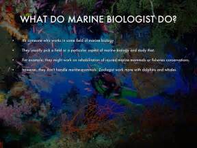 Marine Biology By Katie Armstrong