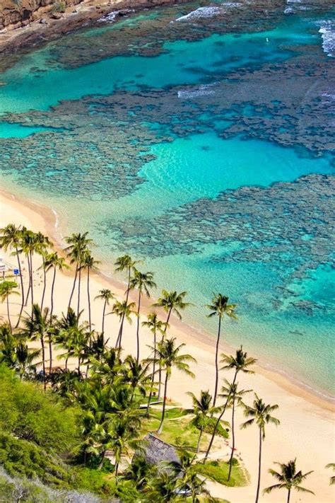 Hanauma Bay Oahu Hawaii Incredible Pics