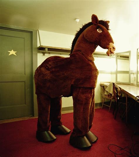 Call to order this costume: How to make a horse costume for kids | eHow UK | Kids ...