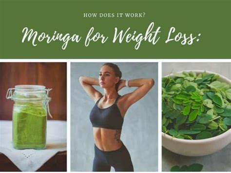 Unfortunately, like many aspects of the body, as you get older, your production slows down. How to use moringa powder for weight loss? - Blog ...