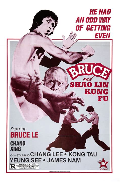 Bruce And Shaolin Kung Fu The Grindhouse Cinema Database