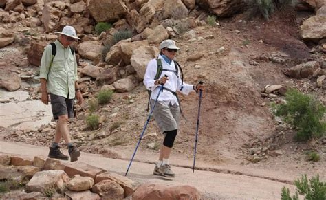 Best Walking Sticks And Hiking Poles For Seniors Be Active While Aging