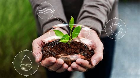 La Importancia De La Ecología En La Agricultura