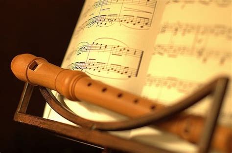 Flute Recorder Instrumentos Musicales Musicales