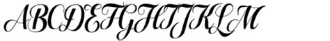 Lilith Script Pro Narrow Regular Font What Font Is