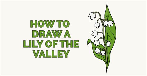 While you can water lilies of the valley and get them to sparkle, it's impossible to breed any more, unfortunately! How to Draw a Lily of the Valley - Really Easy Drawing ...