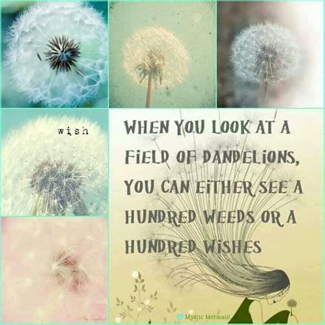 Field Of Dandelions Inspirational Words Inspirational Quotes
