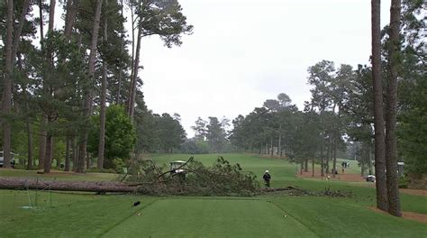 Masters Live Feed Catches Tree Falling At The 17th Tee Laptrinhx News