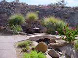 Photos of Backyard Landscaping In Arizona