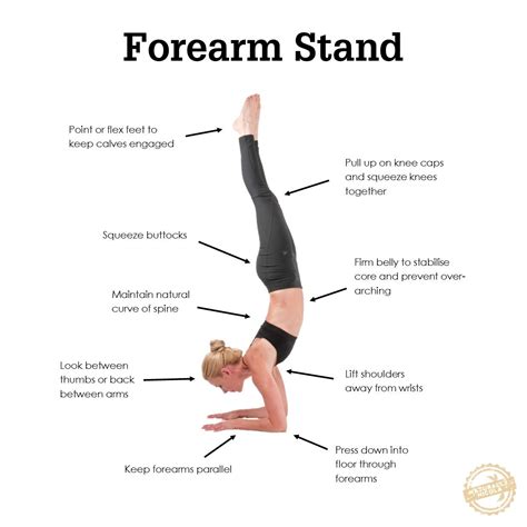 A Forearm Stand Is One Of Those Poses That Looks Fancy And