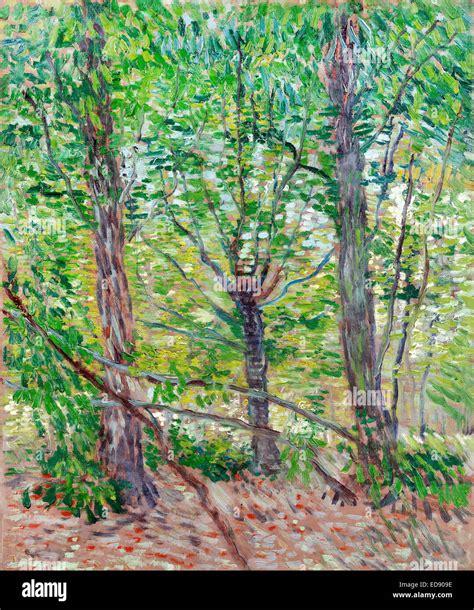 Vincent Van Gogh Trees And Undergrowth Oil On Canvas Post Impressionism Van Gogh