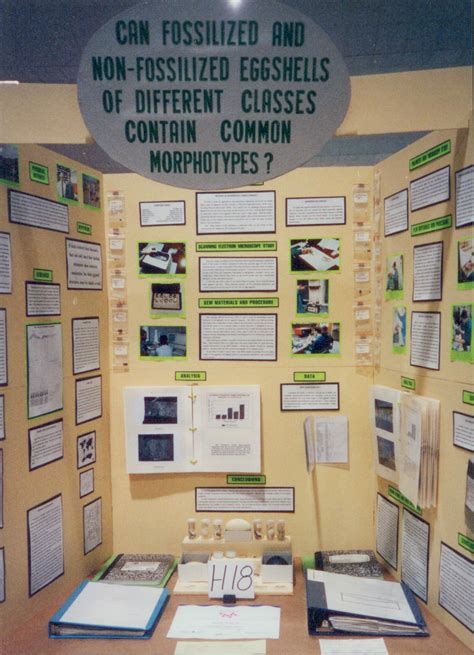 Science Fair Display Board Template