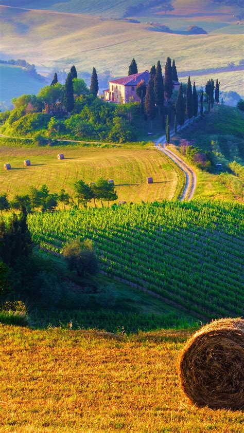 Tuscany Italy Landscape Iphone Wallpaper Iphone Wallpapers