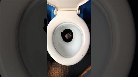 L'eurocity relie la suisse à milan, plusieurs fois par jour; Swiss Train Toilet opens to track - YouTube