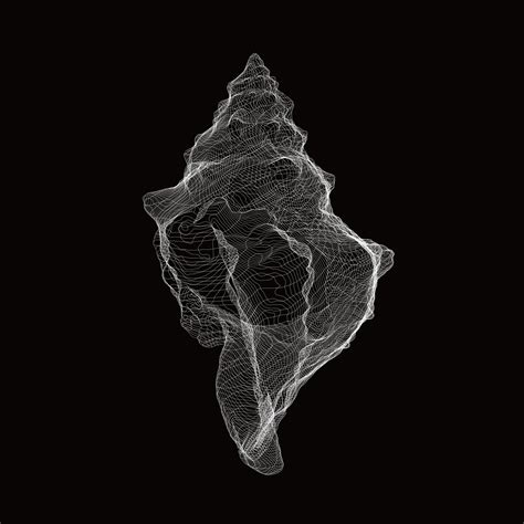 Shell Lace Structure Tonkin Lius Nature Inspired Structural