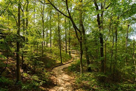 Ranked Americas Most Beautiful National Forests