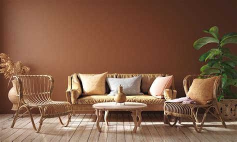 Brown Color Combination For Living Room Resnooze Com