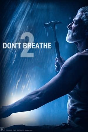 Don't breathe 2 and the chamber of turkey basters don't breathe 3 and the prisoner of blind i didn't know they made a sequel to don't breathe !!! Don't Breathe 2 √ 2021 Film Complet Streaming Vf Vostfr