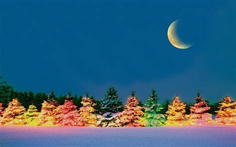 25 Full Hd Winter Night Sky Wallpaper Green Wallpaper