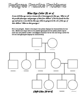 2 email settings pedigrees lesson pedigree chart worksheet. Eye Color Pedigree Worksheet by Jason Demers | Teachers ...