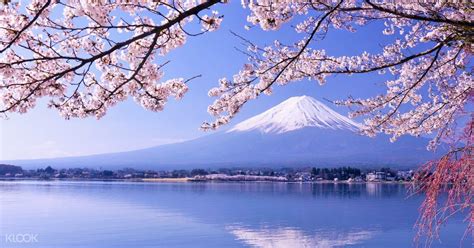 Executed its registered direct offering of common stock at a purchase price of $22.00 per share … Book Tokyo to Mt. Fuji 5th Station Day Trip Online