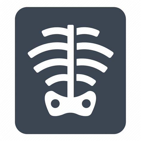 Radiography Radiology X Ray Icon Download On Iconfinder