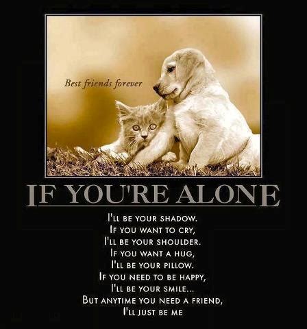 You are worthy of being loved. Dog Unconditional Love Quotes On Facebook. QuotesGram