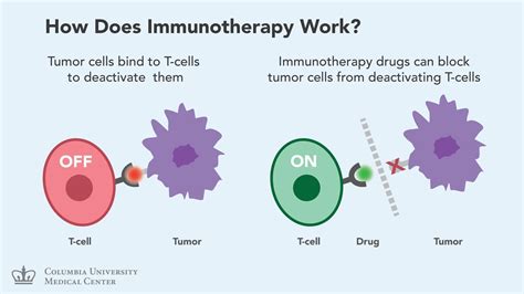 Immunotherapy Blockbuster Growth Potential Seeking Alpha