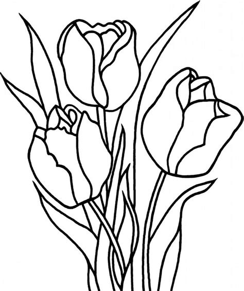 Floral spring with pink tulip flowers plants vector. Free Printable Tulip Coloring Pages For Kids | Flower ...