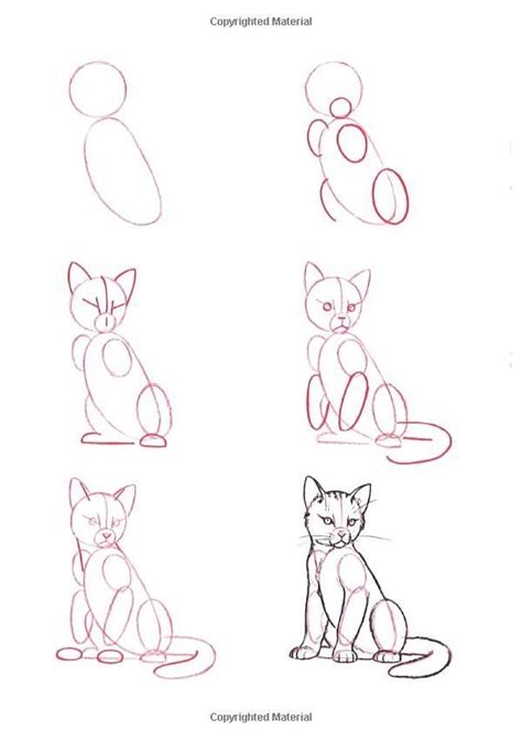 10 videos on how to draw animals. How to draw a cat | Simple cat drawing, Animal drawings ...