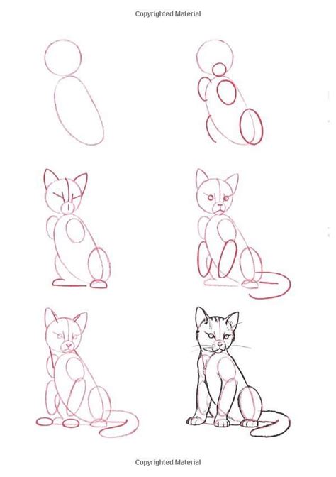 If you want to draw animals then you need to have already a basic understanding of form, shapes. How to draw a cat | Simple cat drawing, Animal drawings, Easy drawings