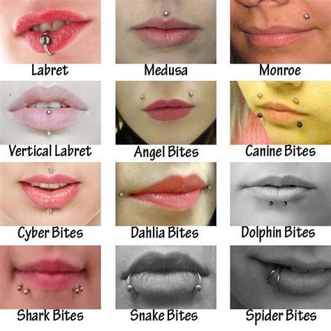 Which Is Your Favourite Lip Piercing Do You Have One