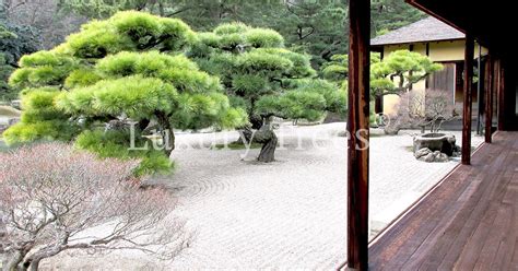 We did not find results for: Zen Garten » LuxuryTrees® Österreich