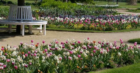 Check spelling or type a new query. Tulpenführung durch den Botanischen Garten Stadtmagazin ...