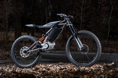 Free spirits is a motorcycle aftermarket parts. Harley-Davidson Dives Head First Into Electrification With ...