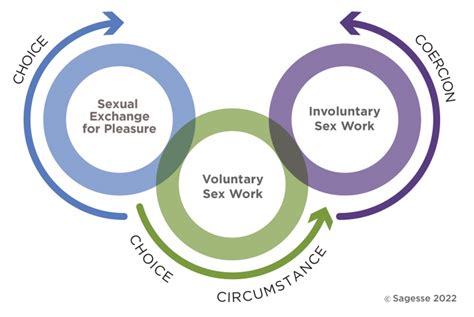 Understanding Sex Work Sagesse