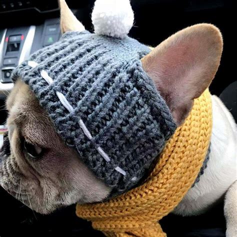 Winter Dog Cap Christmas Pet Hats Dog Accessories Woolen Puppy Etsy