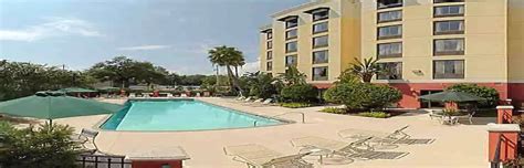 Springhill Suites By Marriott Tampa Westshore Airport Tampa Florida