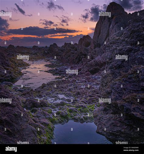 Sunset afterglow on on magical rocky beach at twilight.Beautiful purple
