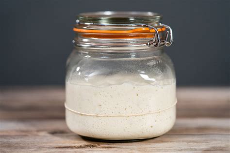 Levain maison en poudre ou liquide