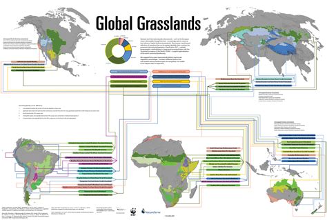 World Maps Library Complete Resources Maps Of Grasslands Around The