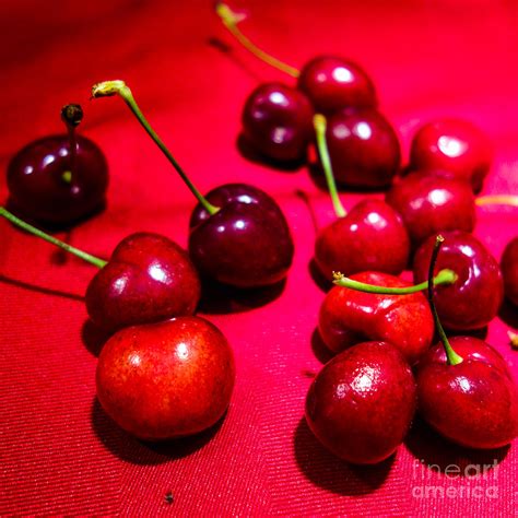Cherries Photograph By Liliane Gusmao